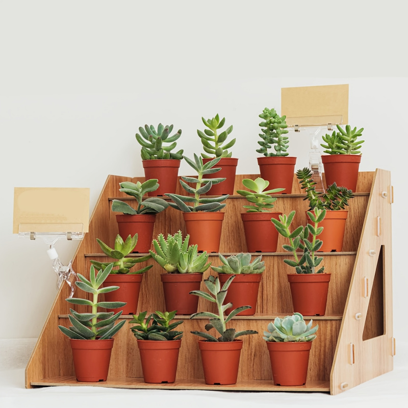 나무 재질의 진열대, 농산물 직판회 및 공예 박람회용  - Pop Display Shelf 리뷰 및 가격